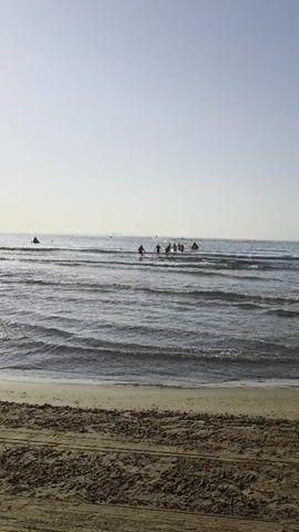A group of athletes are running into the ocean. They are wearing wetsuits or swimwear and appear to be participating in a triathlon or a similar water-based sporting event. The water is relatively shallow, with small waves reaching their knees and waists. The sky is clear and bright, suggesting it is daytime. In the distance, there are buoys and possibly other boats or participants in the water. The scene takes place on a sandy beach, with the edge of the water visible in the foreground. The overall impression is one of an organized sporting competition taking place in a coastal environment.