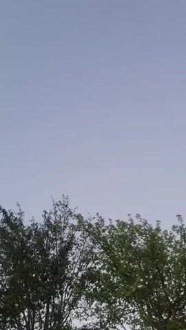 The video shows a small river flowing through a forest. The water is clear and turbulent, with rocks scattered throughout.  Trees and vegetation surround the riverbank. The sky is visible above the trees.