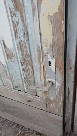 The video starts with a close-up of a weathered, wooden door with peeling paint. The door opens, revealing a dimly lit space inside. A rooster with a red comb and light-colored plumage stands among several hens. The hens are dark colored, with black and brown feathers. The ground inside the space is dirt and debris. Some wooden boards and bricks are visible along the wall. The rooster moves around the other chickens.
