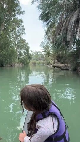A child wearing a purple life vest is looking out at a body of water. The child is in the foreground, and the water takes up most of the frame. There are trees and palm trees on the banks of the water. The water is green and calm. The scene appears to be a natural environment.
