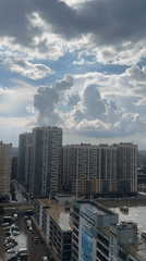 Afternoon scenes from Krasnodar: cats, skyline views, dramatic clouds