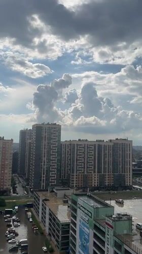 Afternoon scenes from Krasnodar: cats, skyline views, dramatic clouds