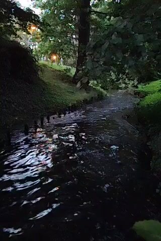 A narrow, dark stream flows through a wooded area. The water is calm with reflections of lights and trees. The banks of the stream are covered in green grass and foliage, with some wooden posts along the left bank. In the background, trees with dense green leaves are visible, and a soft light emanates from a lamppost among them. The overall scene suggests a peaceful, natural setting, possibly in the early evening or dusk.