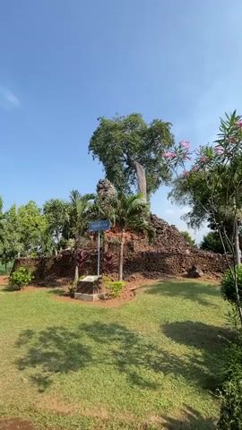 The video shows a historical site with a large tree growing out of a mound of ancient brick ruins. The mound is surrounded by a grassy area and some smaller trees and plants. A blue signpost with some writing on it is visible in front of the mound. The sky is clear and blue, indicating a sunny day. The video is a static shot of the scene.