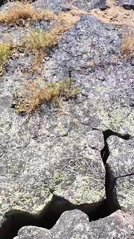 The video opens with a close-up of a rough, gray rock surface with sparse, dry vegetation growing in its cracks. The camera then pans up and to the right, revealing a vast canyon. Sheer, dark rock cliffs dominate the view, with a river winding through the rocky canyon floor below. There are loose rocks and scree slopes at the base of the cliffs, and more dry vegetation is visible along the canyon rim and on the rocky foreground. The sky is a clear, bright blue. The camera continues to pan, showing the immense scale and depth of the canyon.