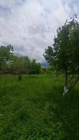 A camera pans across a grassy field with trees. The sky is cloudy and a mountain range is visible in the distance. The grass is tall and green, and the trees are full of leaves. The overall impression is of a peaceful and natural scene.