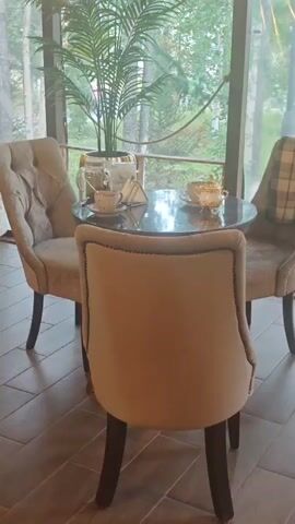 The video pans across a dining area. There are several upholstered chairs and a table set for tea or coffee. A potted palm tree is visible. Through the window, trees and greenery can be seen. The overall ambiance is elegant and relaxed.