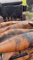 Outdoor cooking gathering with friends in Chaikovsky, Russia
