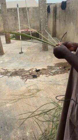 The video shows a close-up of a person's hands weaving long, thin green leaves. The person is wearing a tan-colored garment. The background is a courtyard with a concrete floor, a circular well, and a stone pillar. There are also some scattered leaves and debris on the ground. The lighting suggests it is daytime.