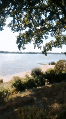 Sunny afternoon on the Elbe riverbank in Wedel