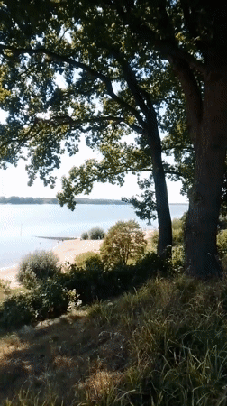 Sunny afternoon on the Elbe riverbank in Wedel