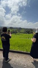 Tourist visits Jatiluwih rice terraces in Bali during sunny morning