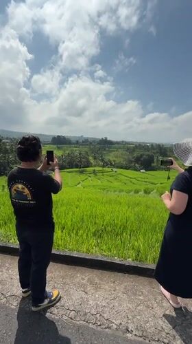 Tourist visits Jatiluwih rice terraces in Bali during sunny morning