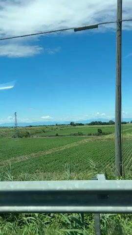 The video shows a view from a moving vehicle. The foreground is dominated by a rusty metal guardrail. Beyond the guardrail, there are green fields, some with visible rows of crops. A tall metal structure, possibly a communication tower, is visible in the distance. The sky is blue with scattered white clouds. In one section, a body of water, possibly a canal or river, is visible, with debris floating on its surface. Some vegetation, including tall grasses and leafy plants, lines the banks of the waterway. Trees are also visible on the left side of the frame. The overall impression is a rural landscape under a clear sky.