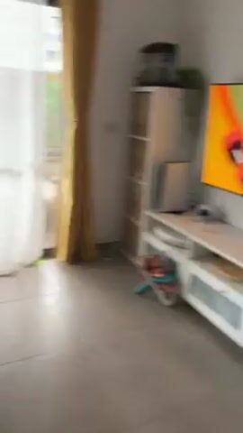 A short video shows a little girl and two cats on a gray sofa. The little girl is sitting on a blanket placed on the sofa, and she is wearing a light blue long-sleeve shirt and purple pants. She has a small pot of green plants in her lap. To her right, a white cat is sitting up and cleaning itself. Further right on the sofa, a gray cat is lying down. A yellow pillow is behind the white cat. A sliding glass door is behind the sofa, leading to an outdoor balcony with a bamboo fence. A child's toy is on the balcony. The room is bright, and parts of the kitchen are visible on the left.