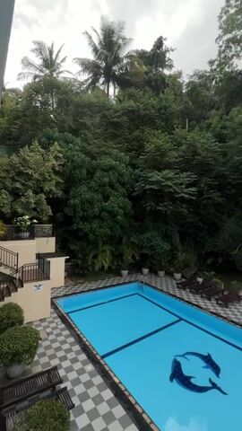 This media file depicts an outdoor swimming pool area surrounded by lush greenery, indicative of a tropical location like Rumassala, Sri Lanka. The scene is set on an overcast day, suggested by the muted light and cloudy sky.

The primary subject is the swimming pool itself, which is a vibrant blue and features a decorative tile mosaic of two dolphins at the bottom. The pool has a tiled checkered border and is accompanied by lounge chairs scattered around the deck. In the background, dense vegetation, including palm trees and various other tropical plants, creates a naturalistic and secluded atmosphere.

To the left of the pool, a multi-level structure with stairs and planters can be seen. This appears to be part of the building or amenities associated with the pool area. There are no people visible in the media file, suggesting the scene is either early morning, late evening, or simply unpopulated at the time of capture.

The overall mood is tranquil and inviting, with the natural setting contrasting with the man-made pool. The cloudy weather adds a sense of calm and potentially cooler temperatures, ideal for enjoying the poolside. No visible text is present in the media file. The media file appears to be a short video clip, as indicated by the timestamp "00:00" to "00:04" at the beginning.