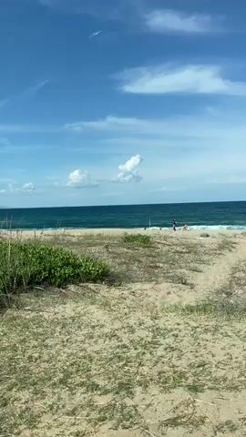 The video shows a view of a sandy beach with sparse vegetation and the ocean under a blue sky with scattered clouds. The camera appears to be moving, likely from a vehicle, as evidenced by the slight blur and the way the scene shifts. In the distance, there are faint outlines of land and possibly some structures. The ocean is a deep blue-green with gentle waves. The foreground is dominated by sand and dry grass, with patches of green bushes. The overall impression is one of a natural, coastal landscape on a sunny day.