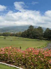 Morning at a mountain-backdrop golf club in Sukasada, Bali