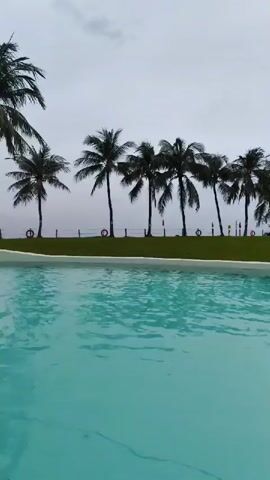 The video begins with a view of a swimming pool and palm trees. A person is visible in the distance by the pool. The camera pans to reveal a resort building with multiple floors and balconies, surrounded by palm trees and a grassy area. Two people are standing on the grass. The camera then pans back to the swimming pool and the resort building. A person is seen in the pool. The video ends with a view of palm trees and the sky. The sky is overcast and the water in the pool is a bright turquoise color.