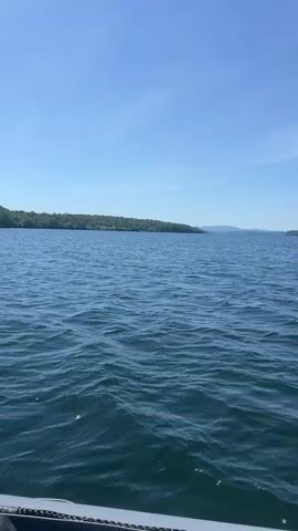 The video shows a wide shot of a calm lake on a clear, sunny day. The water is a deep blue and appears to be slightly choppy. In the distance, a treeline marks the edge of land, and beyond that, faint mountains are visible on the horizon. The camera is positioned from the perspective of someone on a boat, as a portion of the boat's grey inflatable side and an oar are visible in the foreground. The boat appears to be moving, indicated by the slight motion of the water. There are no people visible in the frame.