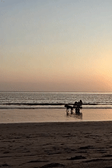 Mumbai beachgoers enjoy typical afternoon and evening leisure activities