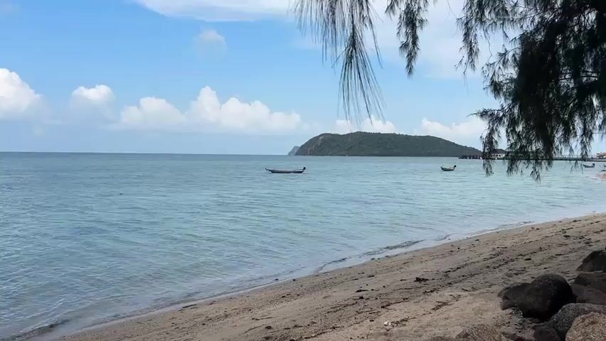 The video shows a tranquil beach scene. A calm, light blue ocean extends to the horizon, where an island covered in green vegetation is visible. Several small boats are floating on the water. The beach is sandy and lined with rocks in the foreground. A tree with long, thin branches frames the upper right corner of the scene, casting a slight shadow on the beach. The sky is blue with scattered white clouds, indicating a sunny day.