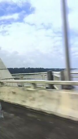 The video shows a view from a vehicle moving across a bridge. The bridge has a white suspension structure. A light-colored concrete barrier runs along the side of the road. Beyond the barrier is a body of water, possibly an ocean or a large bay, with trees lining the distant shore under a cloudy sky.