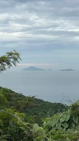 A vertical video shows a distant view of islands in the ocean under a cloudy sky. In the foreground, lush green foliage and branches of trees are visible. The camera pans slightly from left to right.