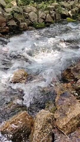 The video shows a close-up, vertical shot of a shallow, rocky stream flowing over stones. The water is clear and appears to be moving rapidly, creating white foamy ripples. The stream bed is composed of various sizes of rocks, some of which are mossy. The banks of the stream are lined with larger rocks and sparse vegetation. The lighting suggests it is daytime, possibly overcast, as there are no harsh shadows. The perspective is low, looking down into the water. The scene is natural and appears to be in an outdoor environment. There are no people or animals visible in the video. The camera is steady, and the focus is on the water's movement.