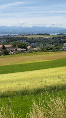 Morning countryside walk through Boudry and Milvignes, Switzerland