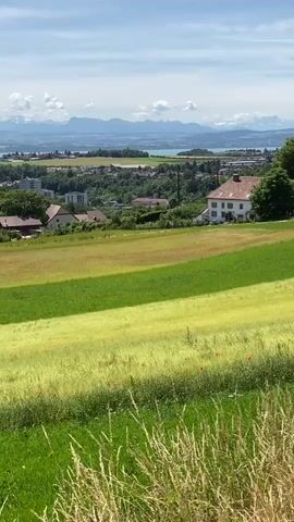 A landscape video shows a rolling green hillside in the foreground with stripes of different colored crops. In the middle ground, there is a village with red-roofed houses and trees. In the background, there is a lake or large body of water with mountains beyond it. The sky is blue with some white clouds.