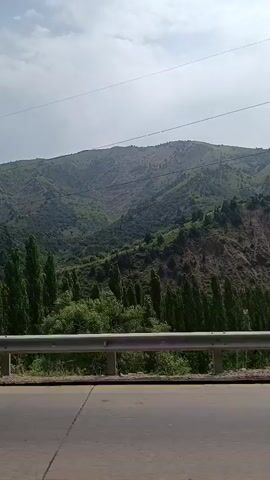 The video shows a view from a vehicle moving along a road. In the foreground, there is a paved road with yellow and white markings. A metal guardrail runs along the side of the road, separating it from a steep, vegetated slope. The slope is covered with trees, primarily tall, slender ones that appear to be poplars, as well as denser green foliage. Beyond the slope, a large, verdant mountain range stretches across the background. The sky is overcast with a few wispy clouds. The overall scene depicts a mountainous landscape during the daytime, likely seen from a moving vehicle traveling through a valley or along a mountain pass. There are no people or animals visible in the frame.