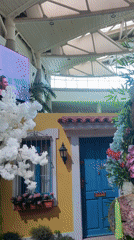 Colorful floral archway installation draws visitors in Pampatar