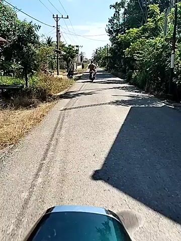 A first-person perspective video shows a scooter driving down a narrow, paved road lined with trees and foliage. In the distance, another scooter is ahead of the cameraperson. To the left of the road is a building with a tall minaret-like structure. Further ahead, another scooter approaches from the opposite direction. The sky is clear and blue. The road is dappled with shadows from the trees, and shows signs of wear.