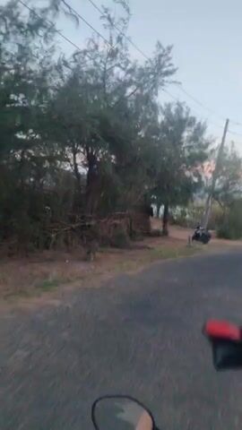 The video is shot from a moving motorcycle, as evidenced by the presence of a rearview mirror and a handlebar grip visible in the foreground. The motorcycle is traveling along a paved road. To the left of the road, there are trees and dense shrubbery. A small wooden structure, potentially a hut or shed, is partially visible amidst the trees. On the right side of the road, there is a parked scooter or motorcycle. In the distance, a body of water can be seen, with a faint pink and orange glow visible on the horizon, suggesting either sunrise or sunset. Power lines run across the top of the frame against a pale blue sky. The video seems to capture a scene of rural or coastal landscape during dawn or dusk.
