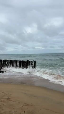 A vertical video shows a beach with a wooden structure jutting out into the water. The sky is overcast and gray, and the ocean is a choppy, dark green. Waves are crashing against the shore, creating white foam that laps up onto the sandy beach. The wooden structure, likely a breakwater or pier, is made of several vertical posts and appears weathered and partially submerged. The sand is a light brown color. The scene is calm but somewhat somber due to the cloudy weather.