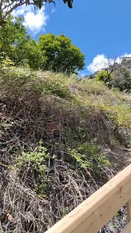 The video shows a group of people walking up a wooden staircase built into a hillside covered in vegetation. The sky is blue with scattered white clouds. The camera follows the people as they ascend, revealing more of the winding staircase that goes up the hill. The camera then pans to show a view of a small body of water nestled among the rocks and trees at the base of the hill. The overall impression is of a scenic hiking trail in a natural setting.