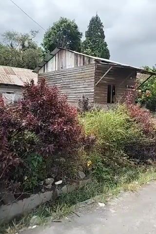 The video shows a medium shot of a wooden house with a corrugated metal roof. The house has a simple, rustic appearance with horizontal wooden planks for siding. In front of the house, there is a small garden with green plants and some red flowers. A dirt path leads to the entrance of the house. The overall environment appears to be rural or semi-rural, with trees and foliage visible in the background. The sky is overcast. The camera is moving, giving the impression of being in a vehicle passing by.