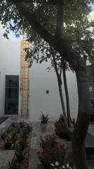 Casual Dubai street life documented through cats, buildings, workspaces