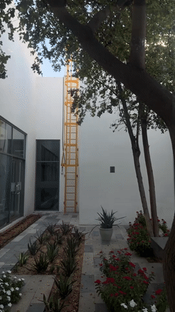 Casual Dubai street life documented through cats, buildings, workspaces