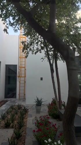 Casual Dubai street life documented through cats, buildings, workspaces