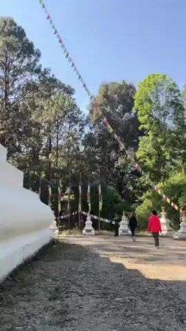 The video shows an outdoor scene with a white stupa in the foreground, partially visible on the left. Several rows of colorful prayer flags are strung across the area. In the background, there are trees and a path where three people are walking away from the camera. The person in the red jacket is the most visible. There are small white stupas or structures along the path with prayer flags. The sky is blue and the lighting suggests it is daytime.