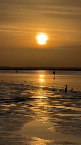 The video shows a golden sunset over a body of water with a muddy shoreline in the foreground. The sun is bright and centered in the frame, with its reflection stretching across the water towards the shore. Several posts or markers are visible in the water, and a line of trees can be seen in the distance. The sky is a mix of orange and yellow hues, with some clouds partially obscuring the sun. The mudflat is patterned with small pools of water, reflecting the warm light.