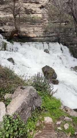 The video shows a waterfall cascading over rocks in a natural setting. The water is white and foamy as it flows over the rocks, creating a rushing sound. The surrounding environment is lush, with green vegetation and moss covering the rocks. There are also some bare trees visible near the waterfall. The camera appears to be stationary, capturing the scene from a low angle, emphasizing the power and beauty of the waterfall.