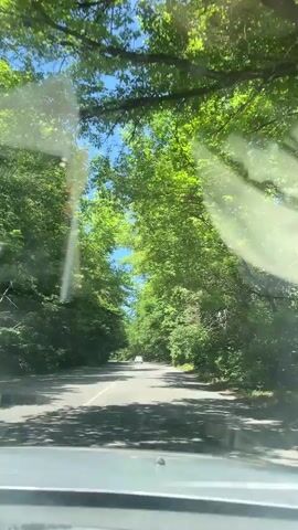 A first-person perspective video shows a vehicle driving down a paved road bordered by a dense canopy of green trees. The sun is shining brightly, casting dappled shadows on the road and the trees. The sky is clear and blue. The road appears to be a two-lane road with a white dividing line. A white vehicle is visible in the distance. The video appears to be recorded on a bright, sunny day during the daytime.