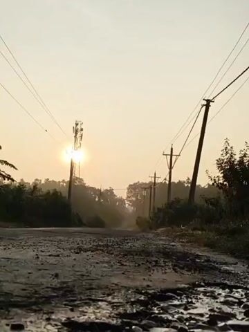 The video shows a muddy, unpaved road with a large puddle of water in the foreground. The sun is rising in the distance, casting a warm glow over the scene and reflecting in the puddle. There are trees and vegetation on either side of the road, and telephone poles with wires run along the sides of the road. The overall impression is one of a rural or semi-rural landscape at dawn.