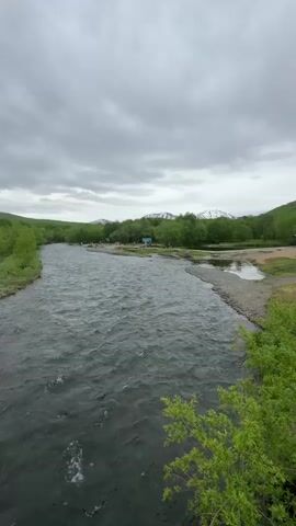 A video shows a wide, fast-flowing river under a cloudy sky. Lush green trees line the banks of the river, and in the distance, mountains with snow-capped peaks are visible. On the right bank of the river, there are a few small blue structures that appear to be shelters or buildings. A few people are scattered around this area, and some small boats or rafts are pulled up on the shore. The water is a dark, murky color, and the surface is rippled by the current. The overall impression is a serene, natural landscape on an overcast day.