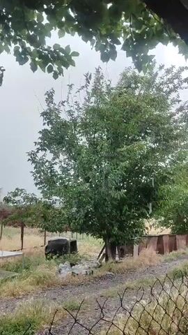 A full vertical shot depicts a serene rural landscape, with a large, leafy tree occupying the right frame. Beneath it, a dark-furred animal, possibly a cow, grazes near a white chest freezer. In the middle ground, a wooden structure with a corrugated roof stands. The distant background reveals a flat, dry field under a cloudy sky, with tall, thin structures visible on the horizon. A metal fence with large squares crosses the lower foreground. The scene is overcast, suggesting a light rain or a recently passed storm.