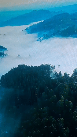 Eclectic global clip mix mislabeled to southern Ukraine