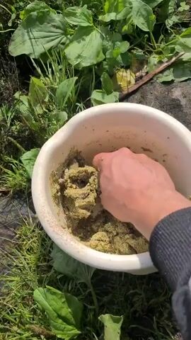 A hand is shown mixing a green substance in a white bowl. The bowl is on the ground, surrounded by grass and green leafy plants. The hand is pressing and manipulating the green material within the bowl.